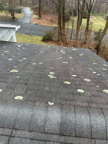The Old Shingles