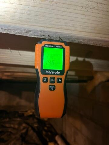 Moisture Reading