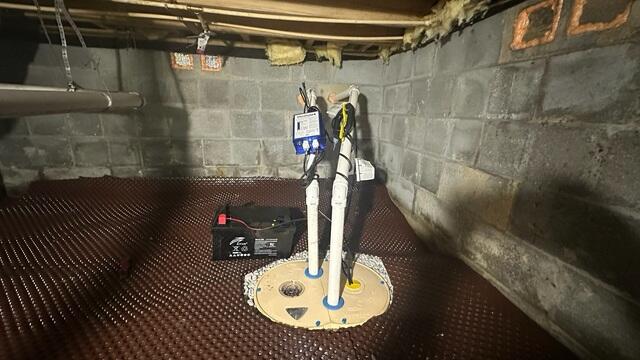 TripleSafe Sump Pump