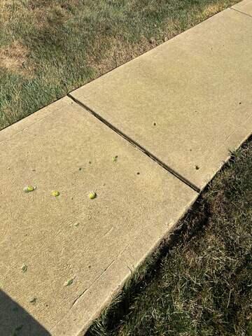 Leveled Concrete Pads- 1
