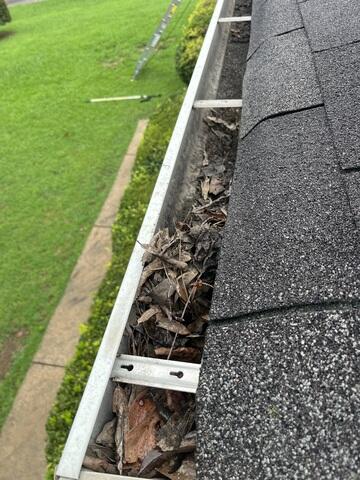 Clogged Gutters