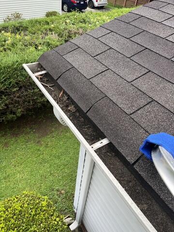 Clogged Gutters