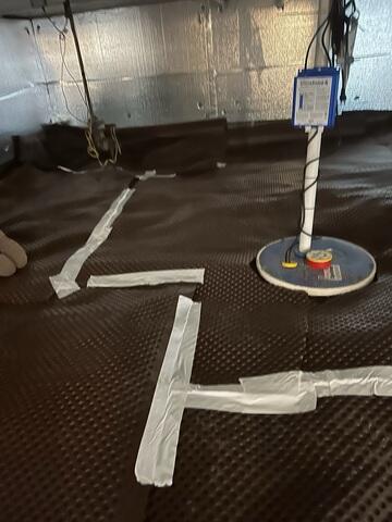 Progress Photo