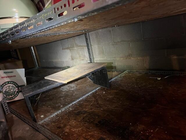Basement Before Project