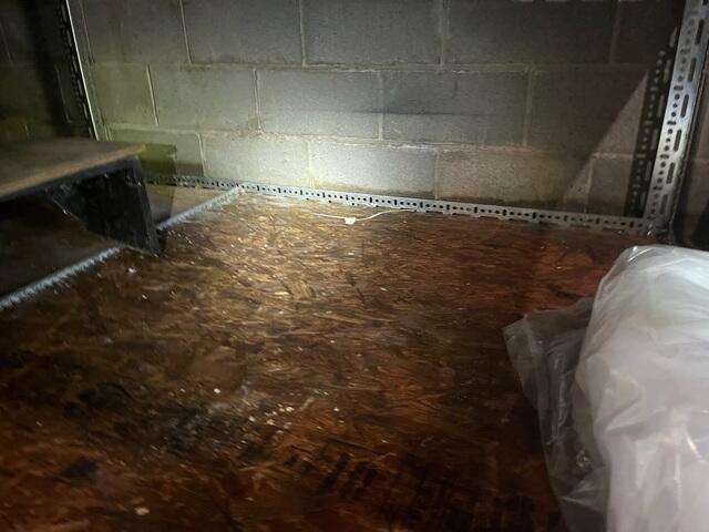 Water Damage in the Basement