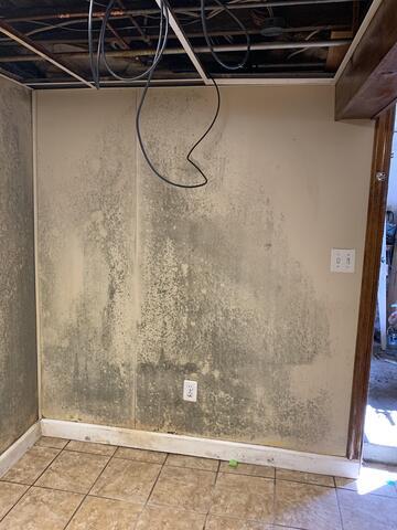 Mold Damage Avon, CT