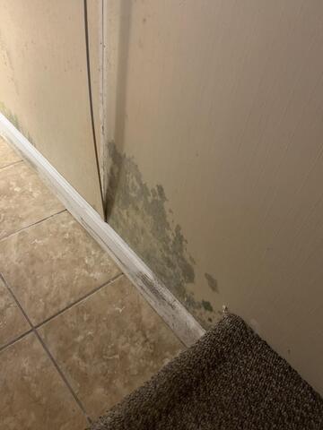 Wait, what's on the wall