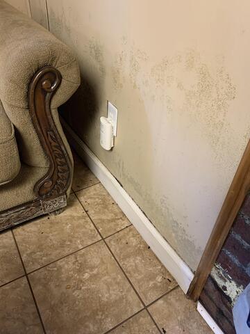Mold Damage on Walls and Furniture in Avon, CT