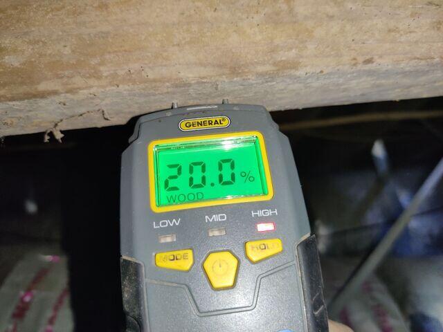 High Wood Moisture