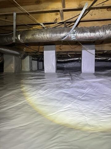 CleanSpace Liner