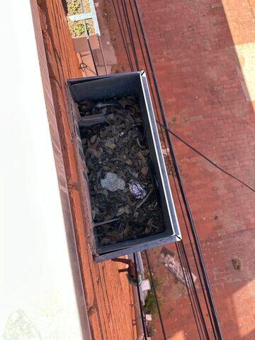 Downspout filled up to the rim with debris.