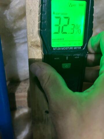 Checking Moisture in the Wood