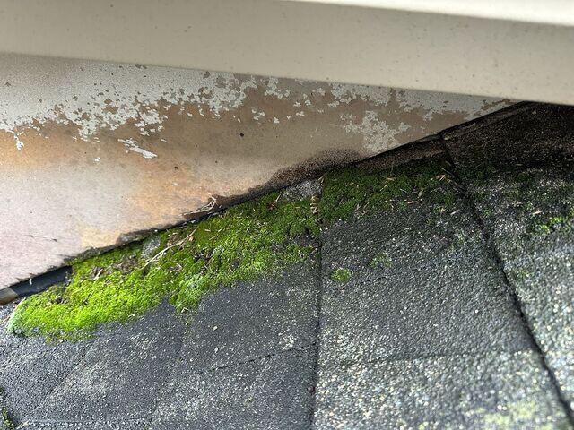 Close up of Damaged Shingles #1