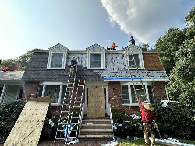 Underlayment and Shingles