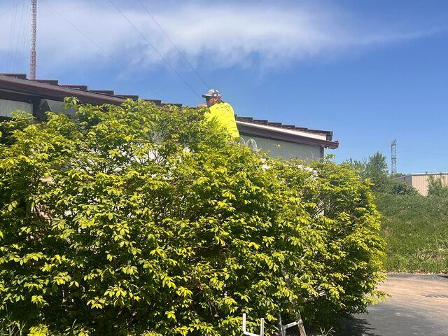 Dylan Holding the Gutter Shutter Trough During Installation