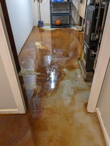 Stained Floors & Walls