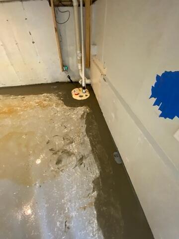 SuperSump Plus & WaterGuard in Action