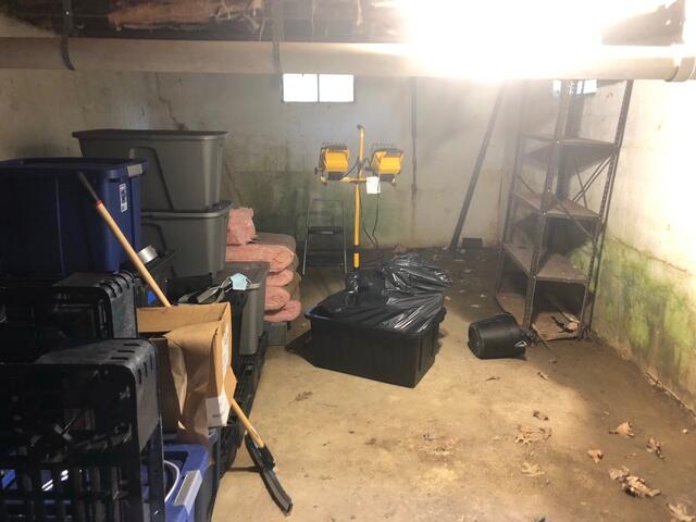 Musty Existing Basement