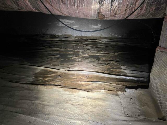 Water on Vapor Barrier