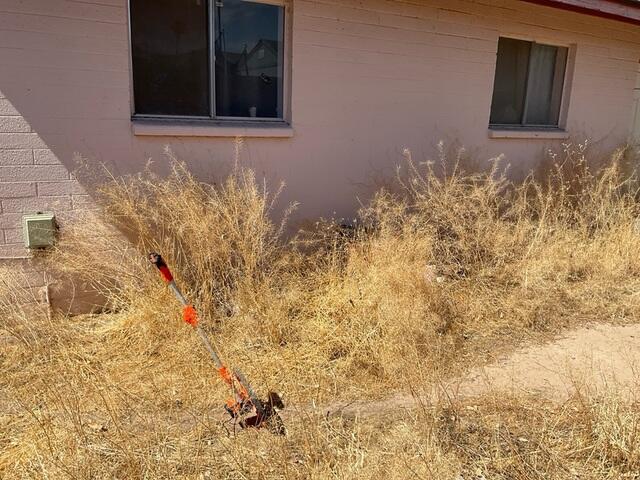 Causes of Stem Wall Failure: Plants around the house?