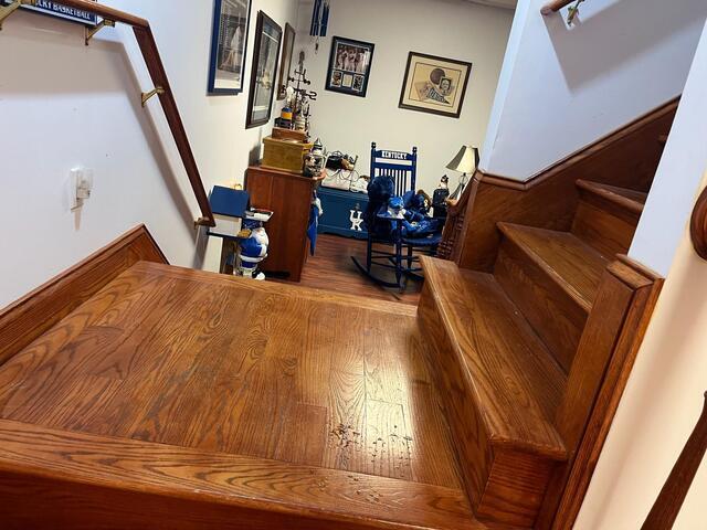 Finished Basement