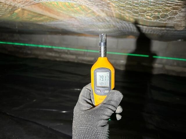 Moisture in Crawl Space