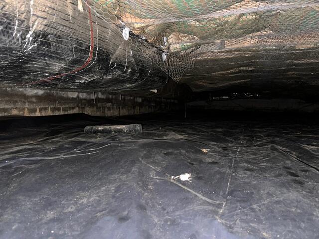 Old Vapor Barrier