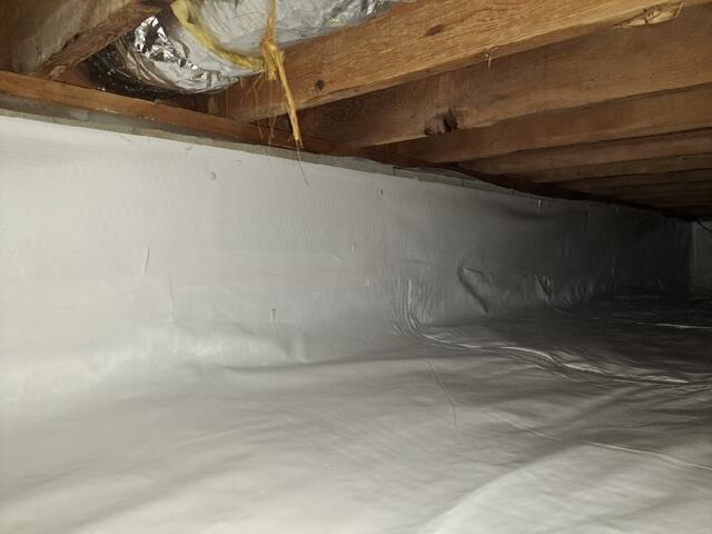 CleanSpace Liner