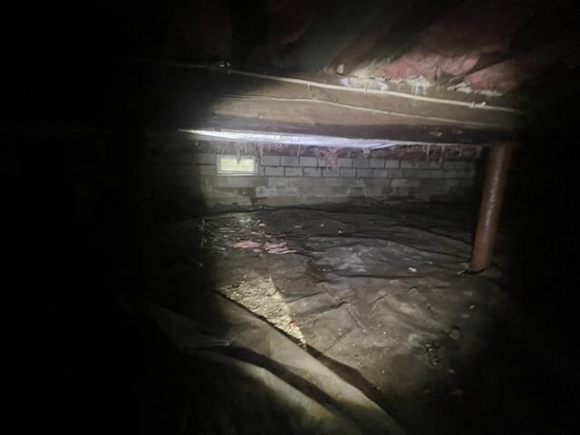 Dark and Damp