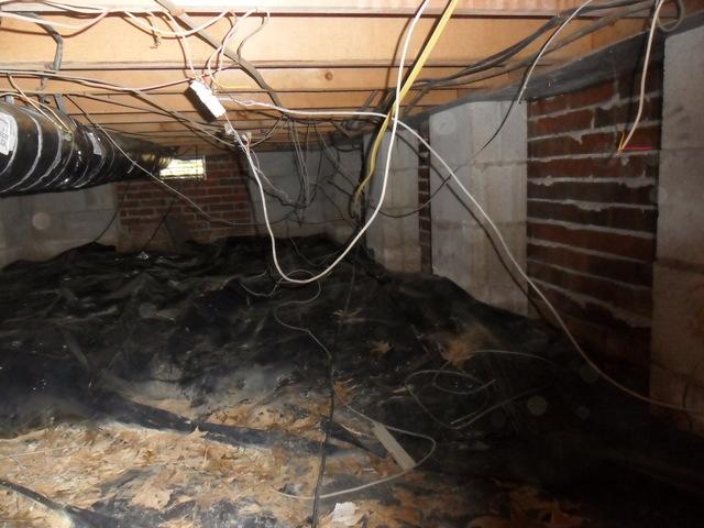 CleanSpace in South Fulton, TN