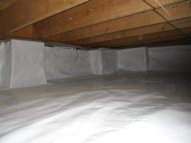 CleanSpace in South Fulton, TN