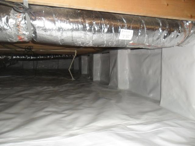 CleanSpace in South Fulton, TN