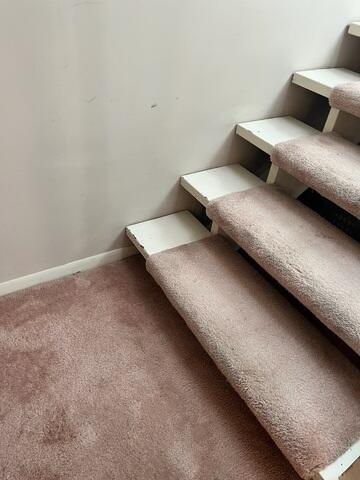 Site For French Drain 2