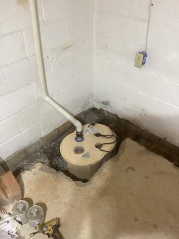 Triple Safe Sump Pump