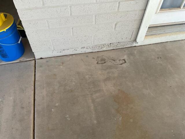 Signs of Stem Wall Failure: Flaking Paint in Phoenix, AZ