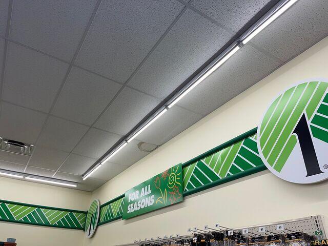 Water damage to ceiling Tiles.