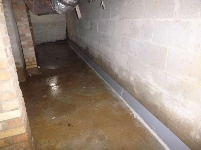 Water Guard in Medina, TN