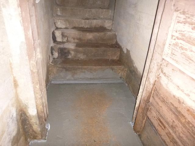 Water Guard in Medina, TN