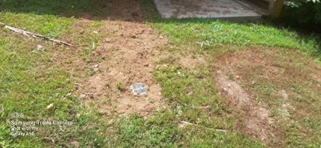 Installation of LawnScape Complete