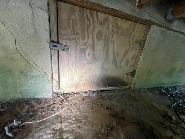 Original Wood Door