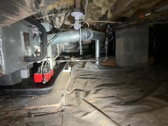 Nasty Crawlspace and Insulation