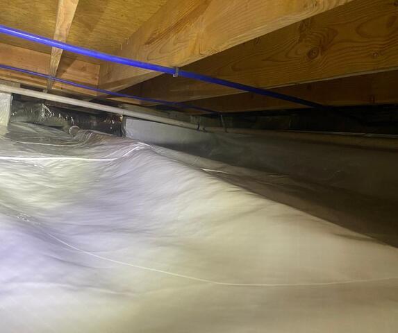 CleanSpace