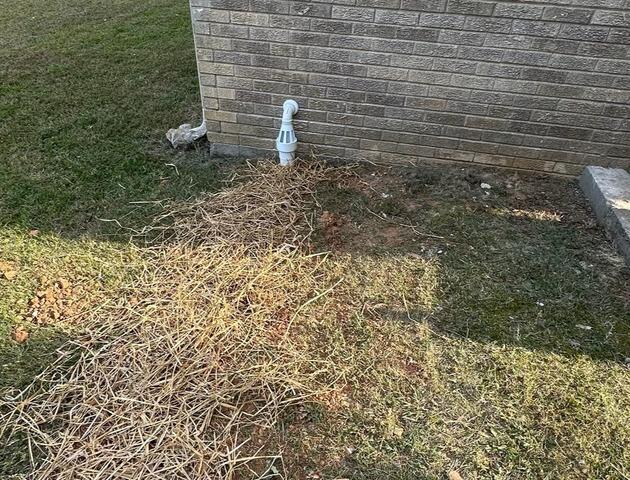 Drainage Lines