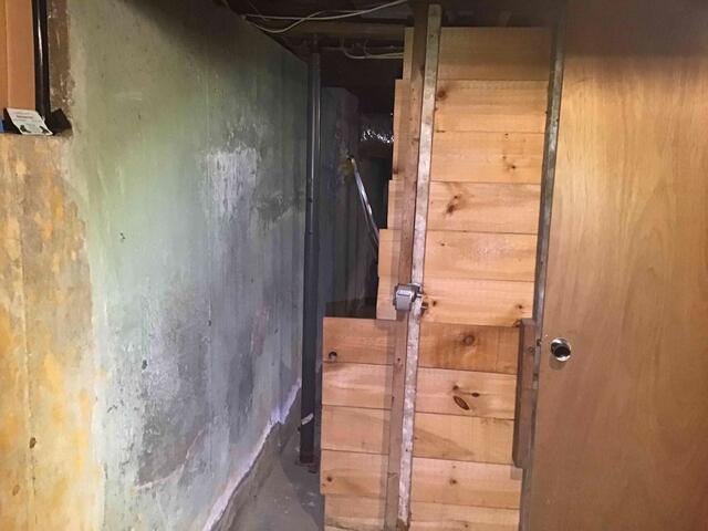 Efflorescence on the walls