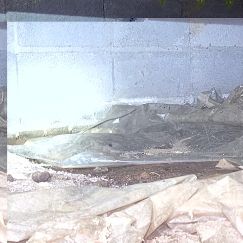 Traditional Vapor Barrier