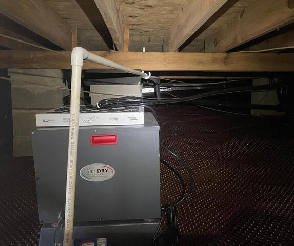 World's Most Powerful Dehumidifier for its Size