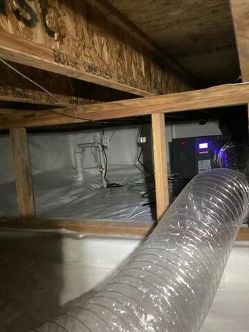 Sump Pump and Dehumidifier