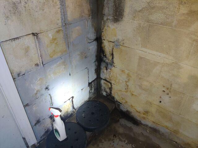 Water Damage
