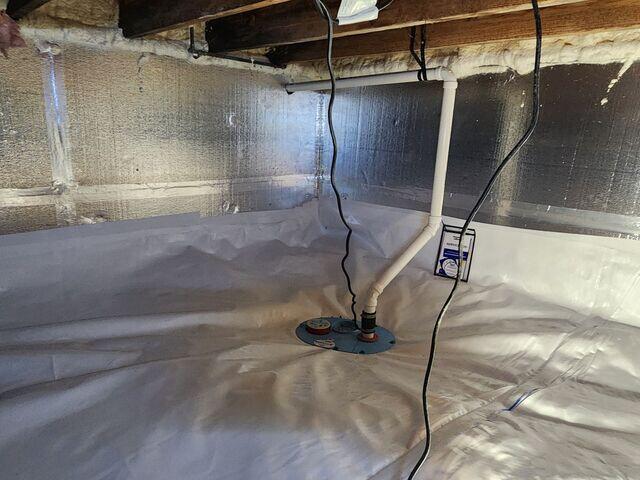 SmartSump Sump Pump