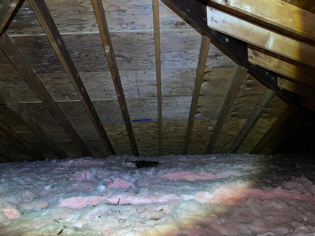 Before picture of the attic